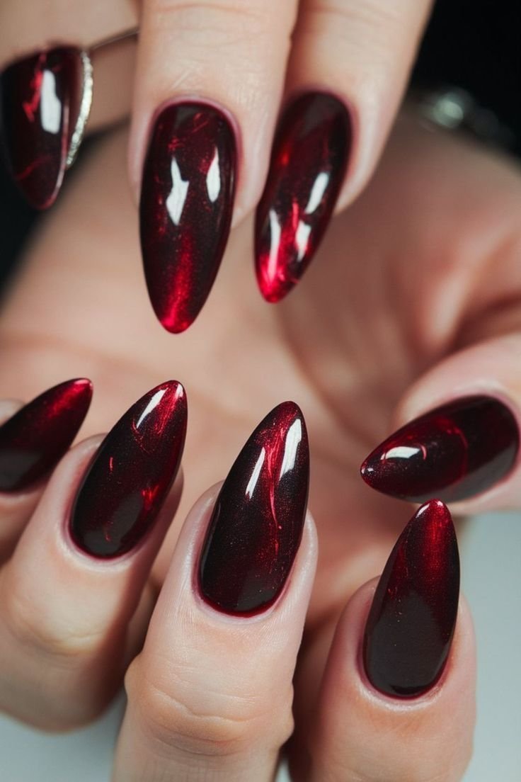 18+ Velvet Cat Eye Nails for Autumn