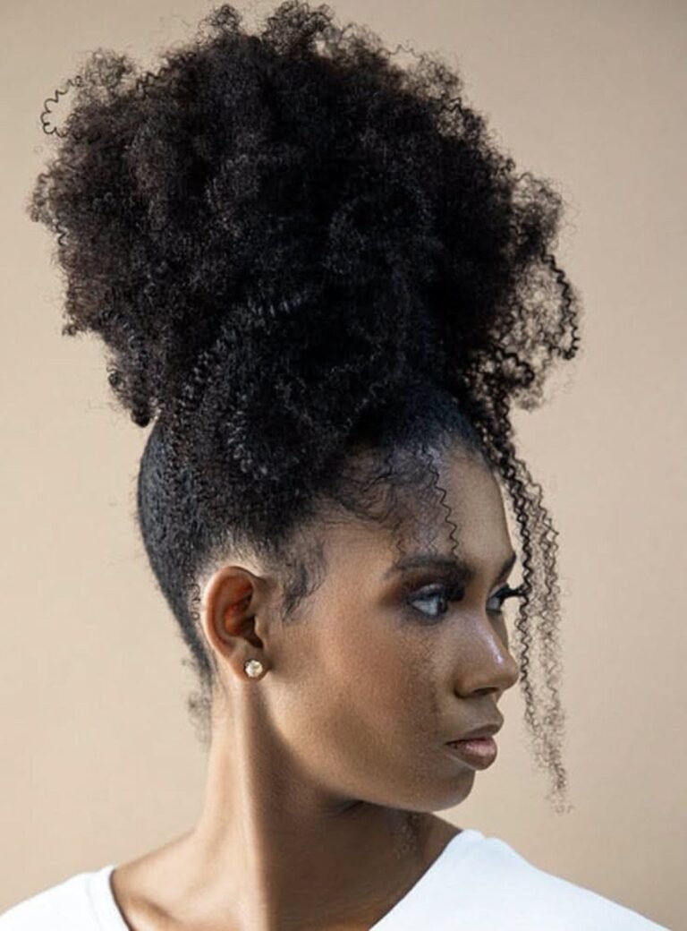 20+ Autumn Updos for Natural Hair